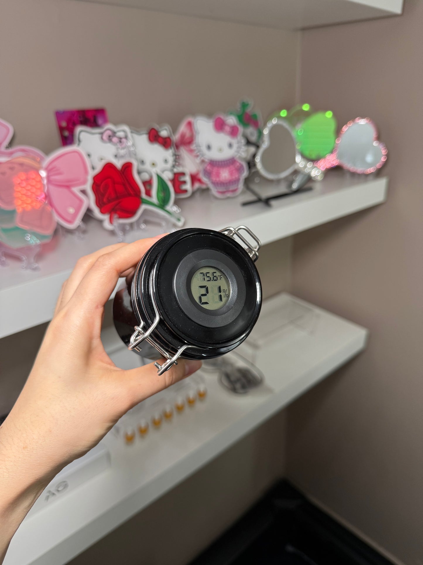 Storage jar with thermometer