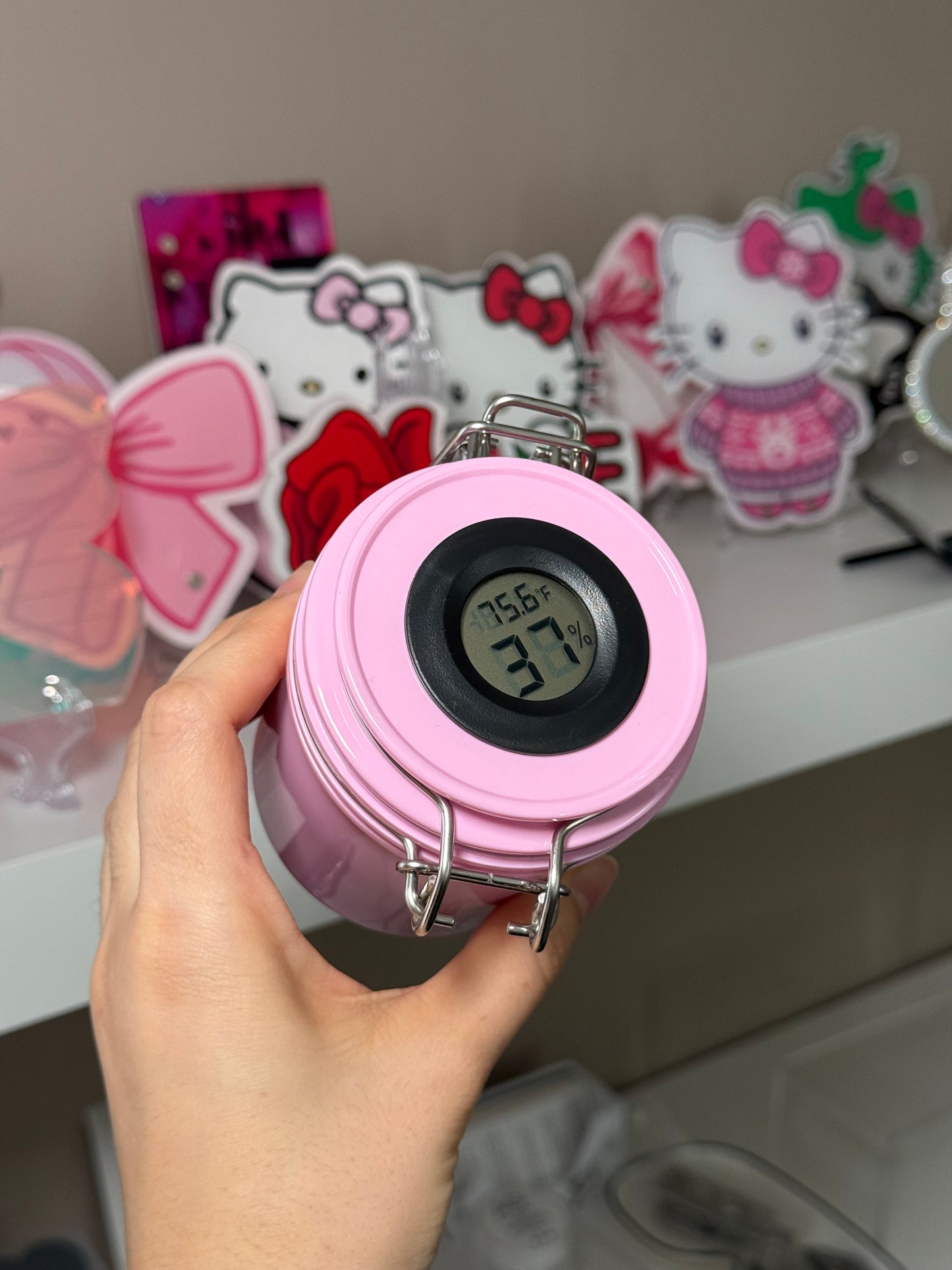 Storage jar with thermometer
